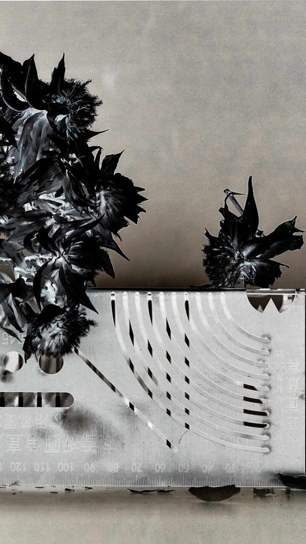 Gleb Melenberg Stills Photo Remnants